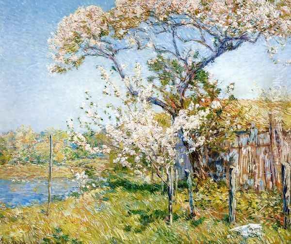 Apple Trees in Bloom, Old Lyme Oil Painting by Childe Hassam