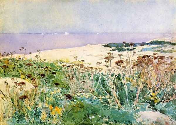 Isles of Shoals 5 Oil Painting by Childe Hassam