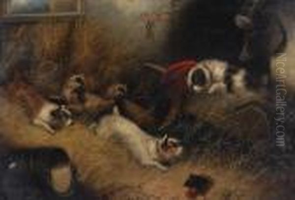 Terriers Ratting In A Barn Oil Painting by George Armfield