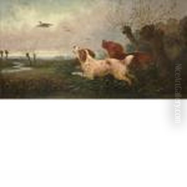 Spaniels Flushingpheasant Oil Painting by George Armfield