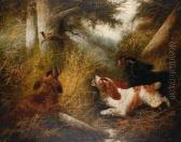 Spaniels Putting A Pheasant Up Oil Painting by George Armfield