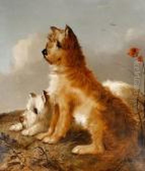 Portrait Of Two Terriers Oil Painting by George Armfield