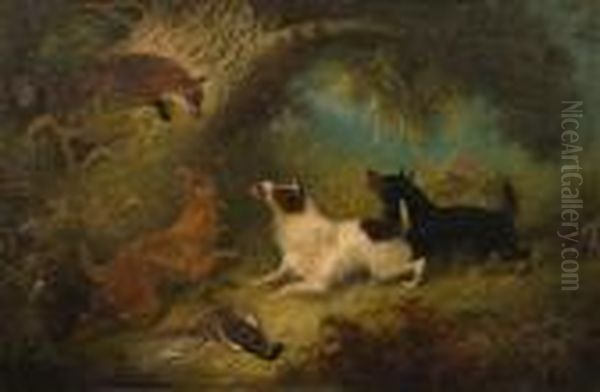 A Fox Cornered Up A Tree By Threeterriers Oil Painting by George Armfield