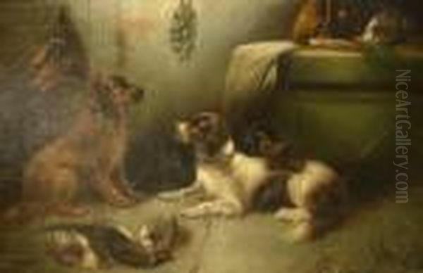 Hunting Dogs In The Back Kitchen Oil Painting by George Armfield