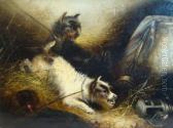 Two Tethered Terriers And A Rat In An Interior Oil Painting by George Armfield