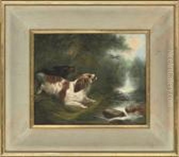 Spaniels Flushing Mallard Oil Painting by George Armfield