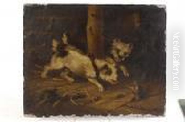 Terriers Ratting In A Barn Oil Painting by George Armfield