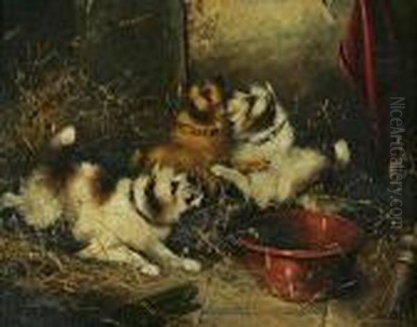 Terriers Ratting Oil Painting by George Armfield