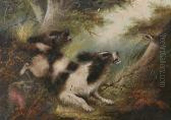 Spaniels Flushing A Woodcock, Signed Oil Painting by George Armfield