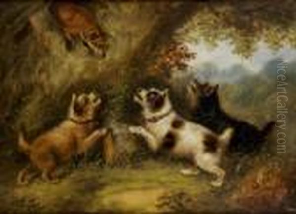 Terriers Chasing A Fox Oil Painting by George Armfield