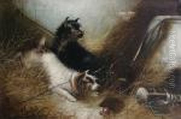 Leashed Terriers At An Intruder Oil Painting by George Armfield