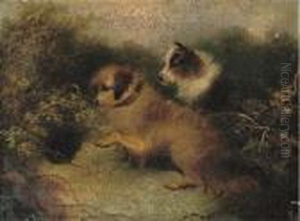 Eager Terriers Outside A Rabbit Hole Oil Painting by George Armfield