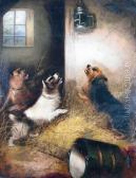 Terriers Ratting In A Stable Oil Painting by George Armfield