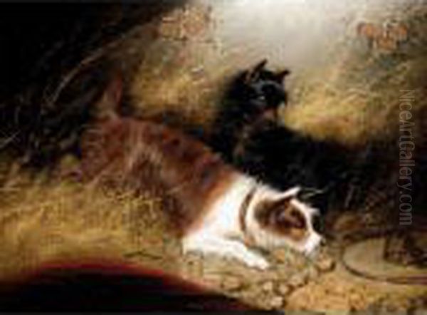 Terriers Ratting Oil Painting by George Armfield