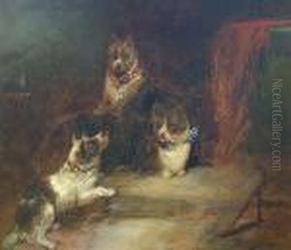 'rabbits And A Fox' And 'three Terriers' Oil Painting by George Armfield