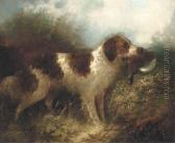 A Spaniel With A Pheasant Oil Painting by George Armfield