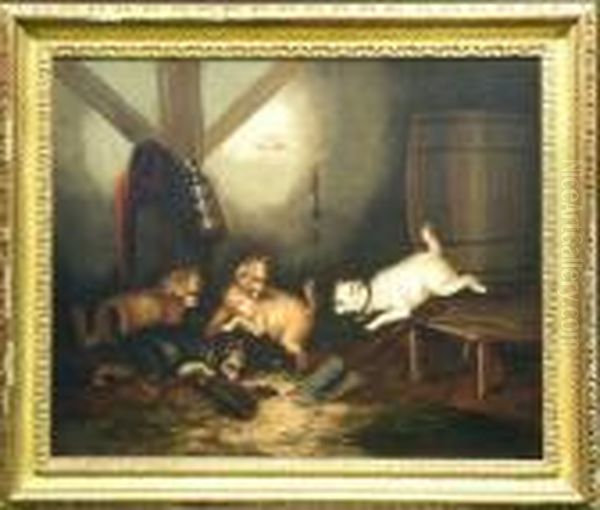 Terriers Ratting In A Barn Oil Painting by George Armfield