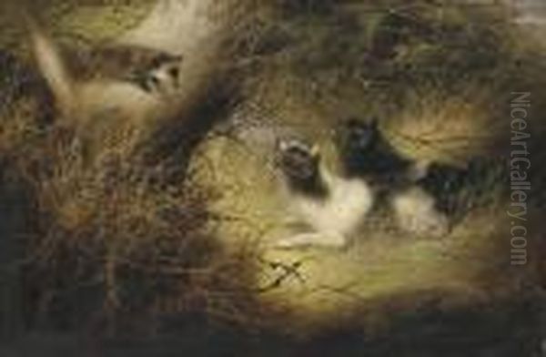 Terriers Chasing A Fox Oil Painting by George Armfield