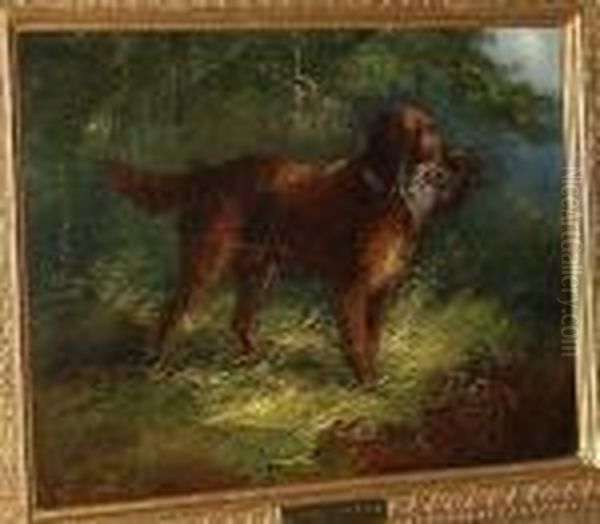 Gun Dog With A Partridge Oil Painting by George Armfield