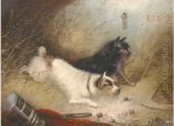 Terriers Ratting; And Terriers In A Barn Oil Painting by George Armfield