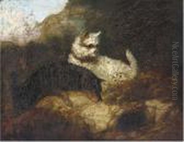 Terriers Rabbiting Oil Painting by George Armfield