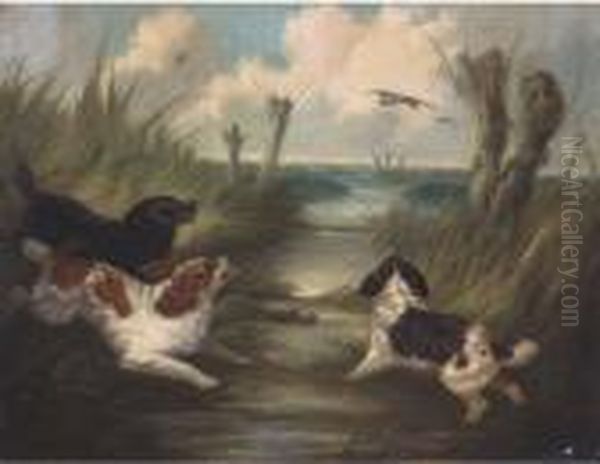 Spaniels Putting Mallards Up Oil Painting by George Armfield