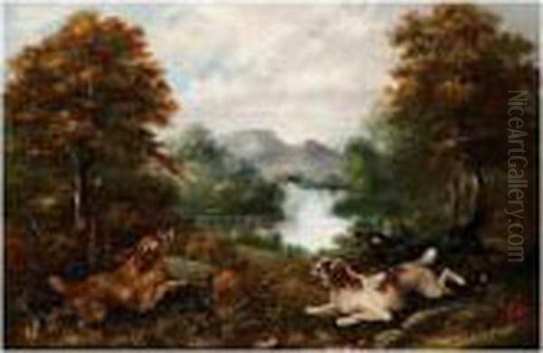 Flushing A Pheasant Oil Painting by George Armfield