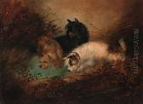 Terriers Rabbiting Oil Painting by George Armfield