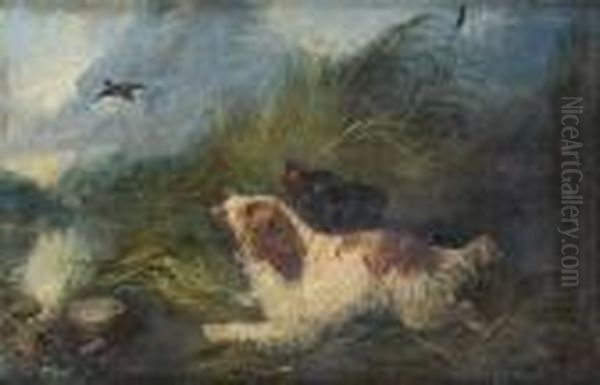 Spaniels Flushing Duck Oil Painting by George Armfield