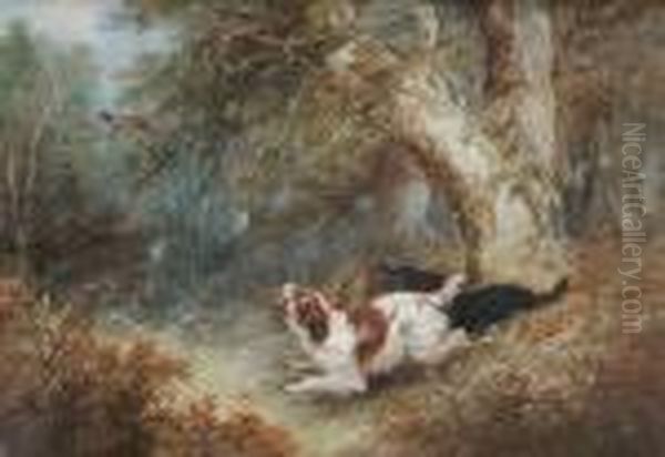 Flushing Pheasant Oil Painting by George Armfield