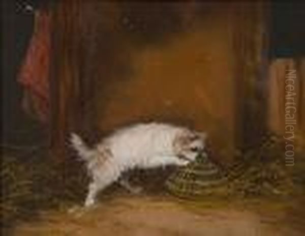 Terrier Ratting In A Barn Oil Painting by George Armfield