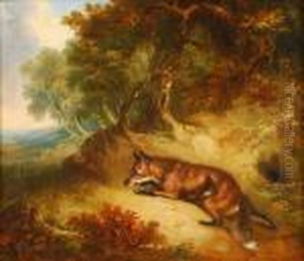 Fox In A Woodedlandscape Oil Painting by George Armfield