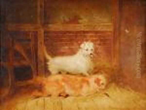 Two Spanielsratting In A Barn Oil Painting by George Armfield