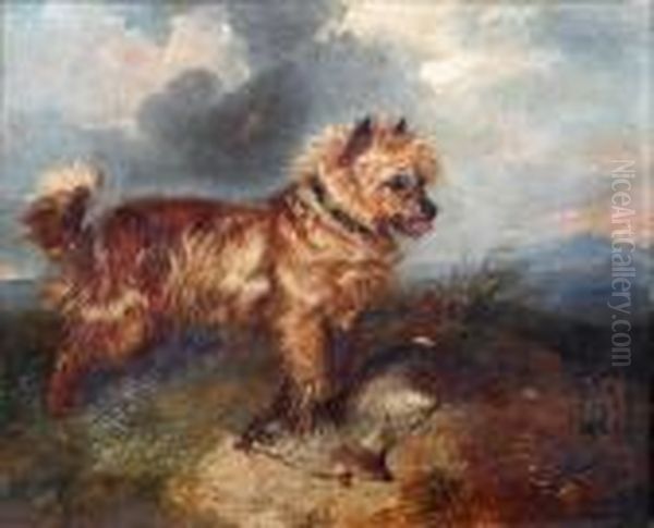 Terrier With A Rabbit Oil Painting by George Armfield