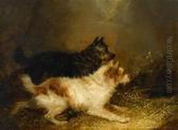 Terriers Ratting Oil Painting by George Armfield