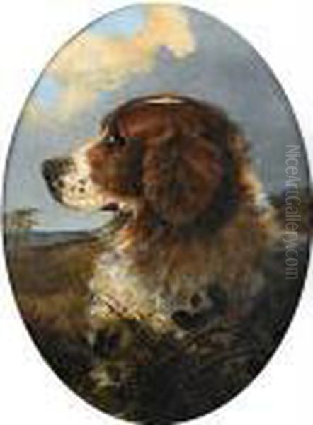 Head Of A Springer Spaniel Oil Painting by George Armfield