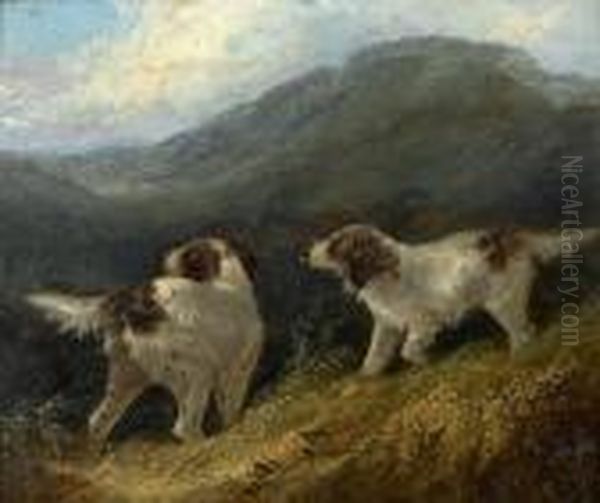 Springer Spaniels Oil Painting by George Armfield