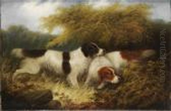 Landskap Med Tva Spaniels Oil Painting by George Armfield