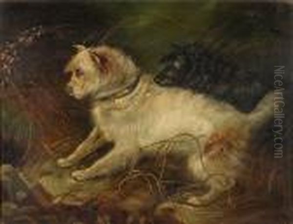 Terriers Ratting Oil Painting by George Armfield