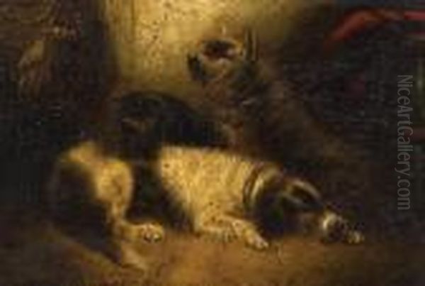 Three Terriers Resting; Two Terriers Alert Oil Painting by George Armfield