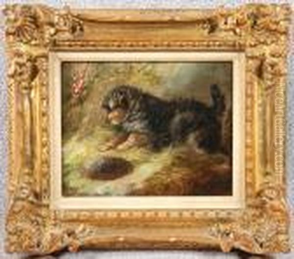 Terrier And Hedgehog Oil Painting by George Armfield