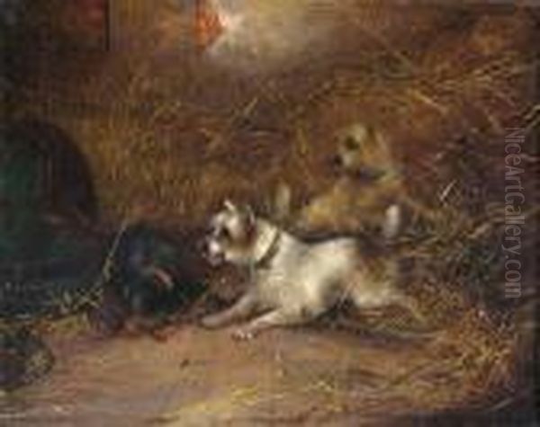 Terriers Ratting Oil Painting by George Armfield