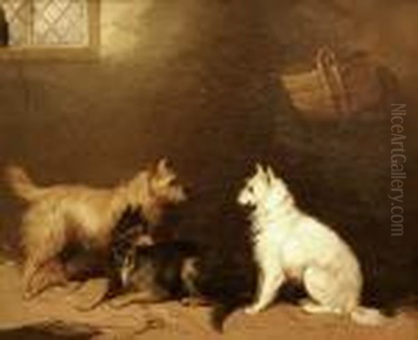 Three Terriers In An Interior Oil Painting by George Armfield