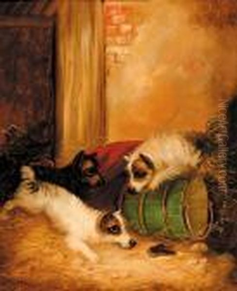 Terriers Ratting In Oil Painting by George Armfield