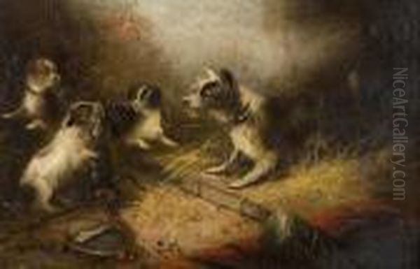 Terriers In A Barn Ratting Oil Painting by George Armfield