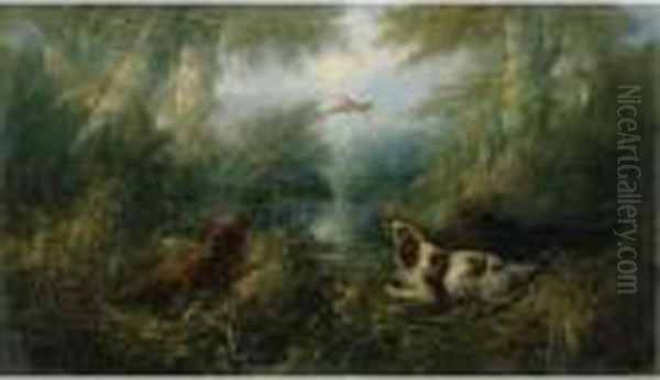 Spaniels And Pheasants Oil Painting by George Armfield