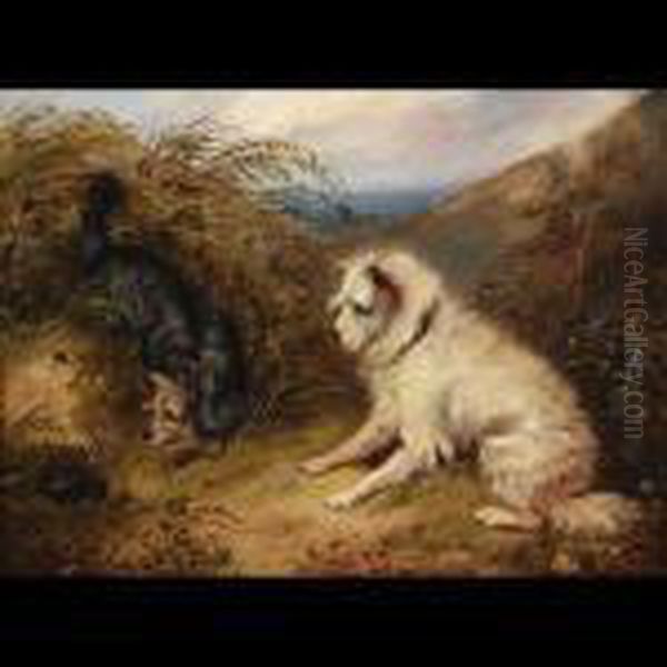 Terriers At A Rabbit Hole Oil Painting by George Armfield