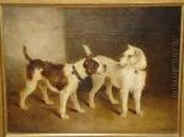 A Study Of Two Terriers, Oil On Canvas Oil Painting by George Armfield