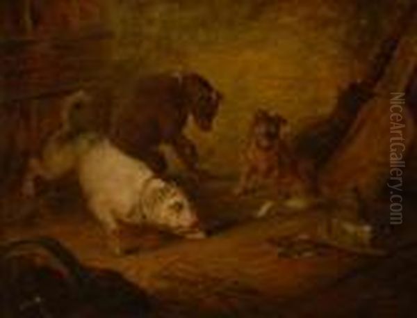 Terriers Ratting Oil Painting by George Armfield