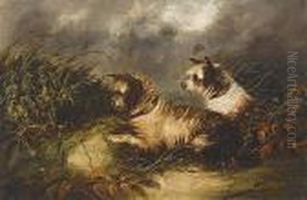 Terriers Oil Painting by George Armfield